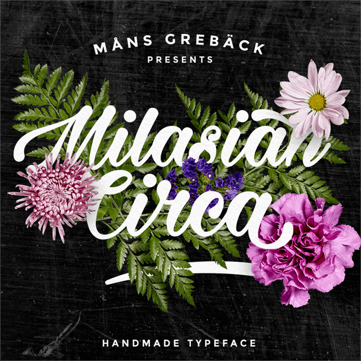 Free Milasian Circa Bold Font