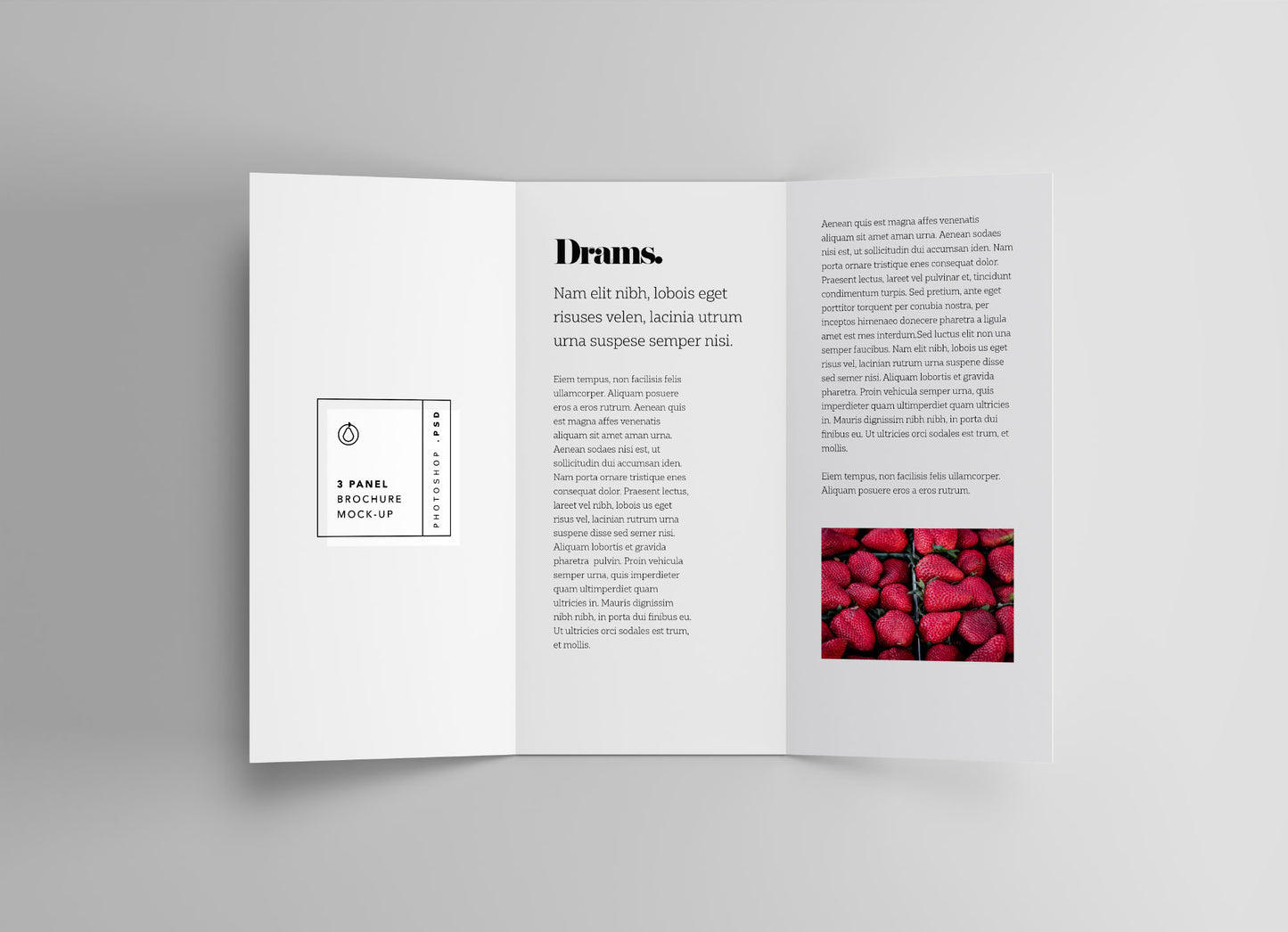 Free 3 Panel Brochure Mockup