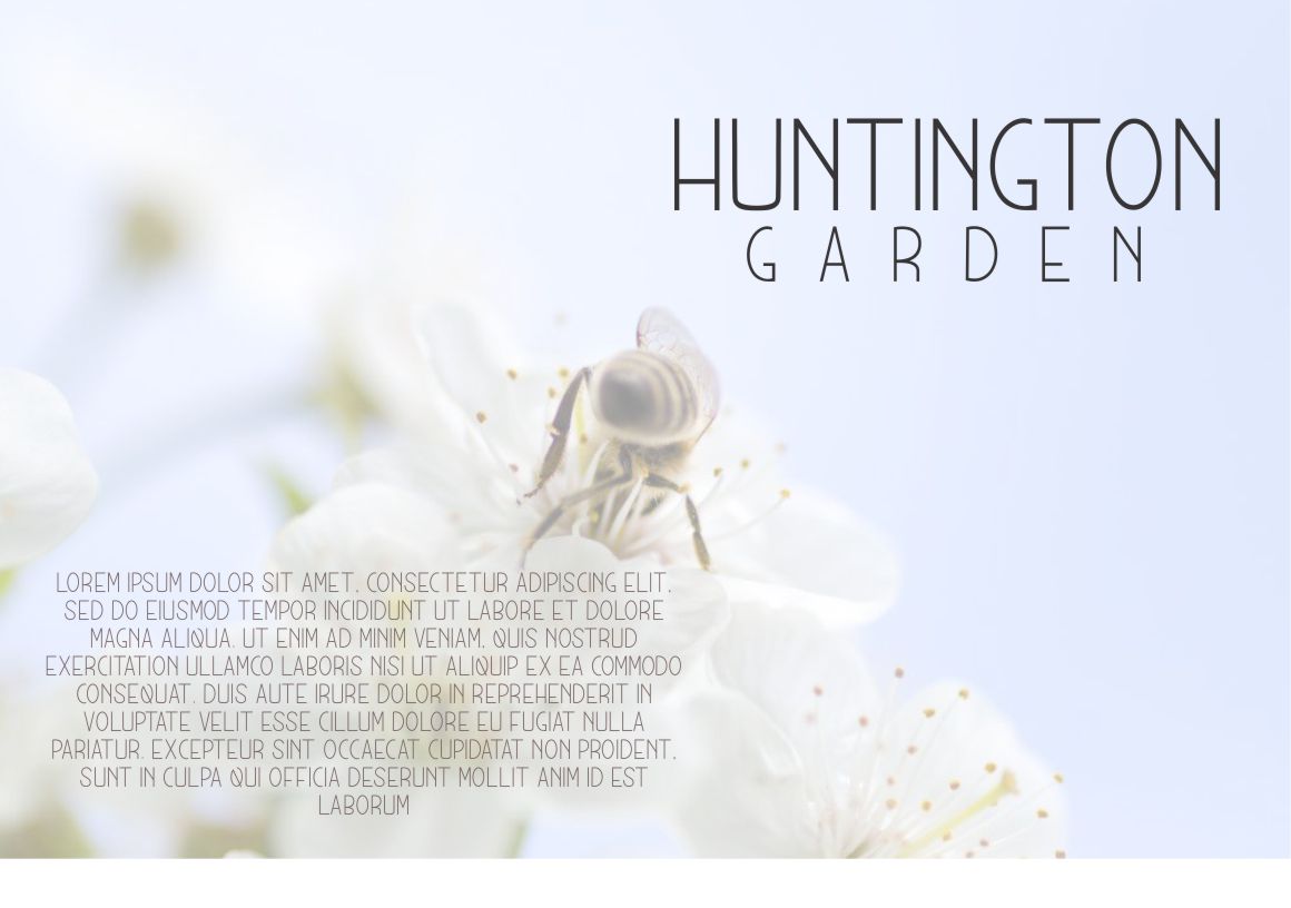 Free Munich Modern Sans Serif