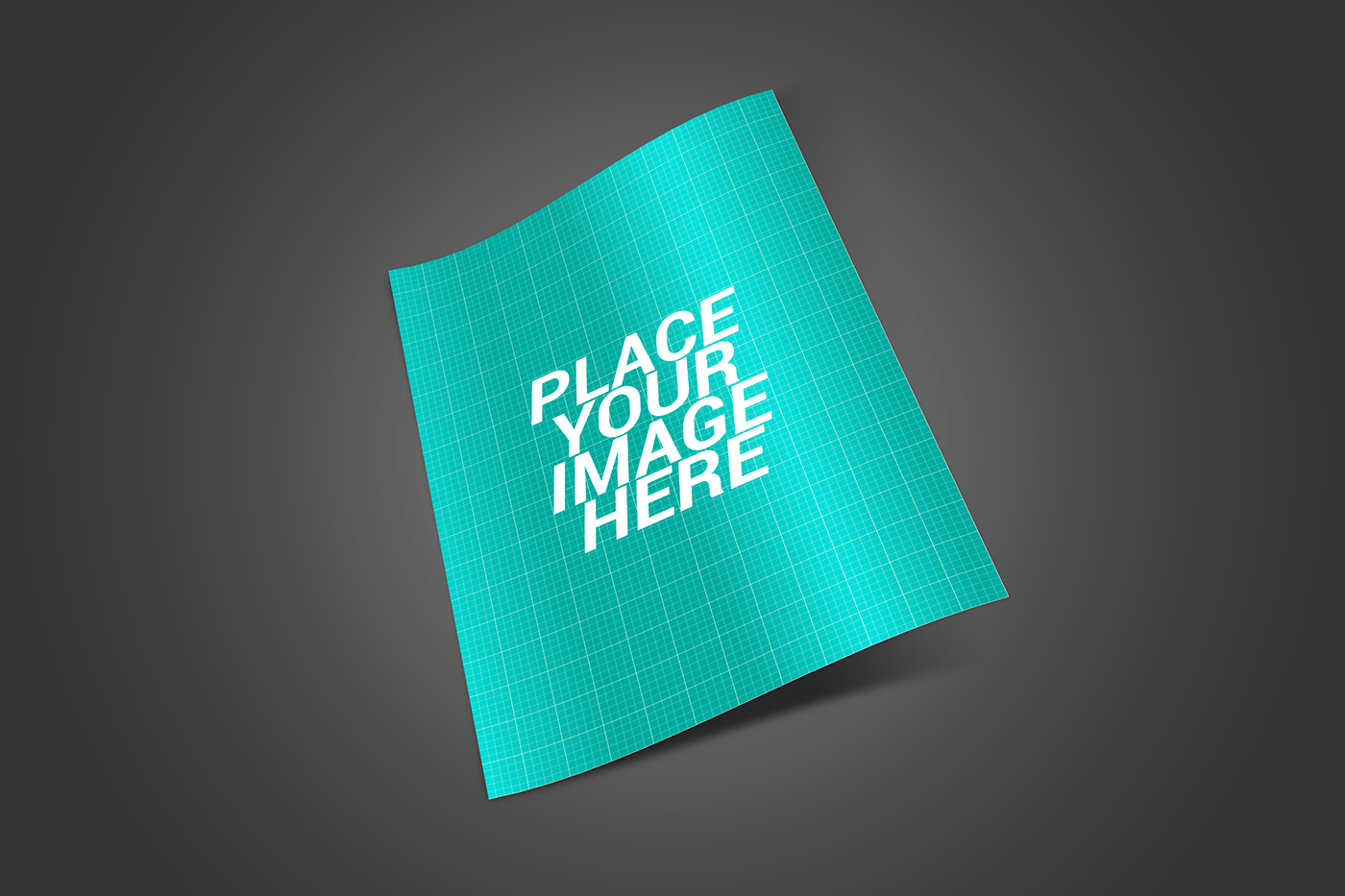 Free PSD Files of Flyer Mockups