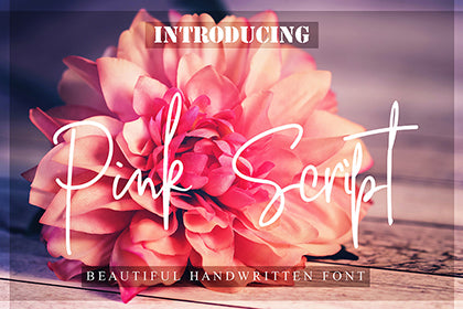 Free Pink Script Font Demo