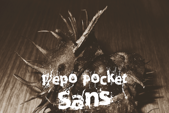 Free Repo Pocket Sans Font