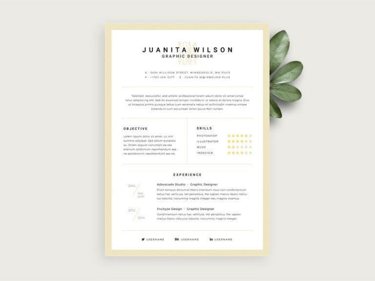 Free Elegant Framed Resume CV Template in Photoshop (PSD) Format