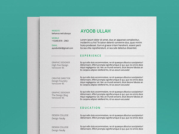 Free Minimal Resume CV Template in Illustrator (AI) Format