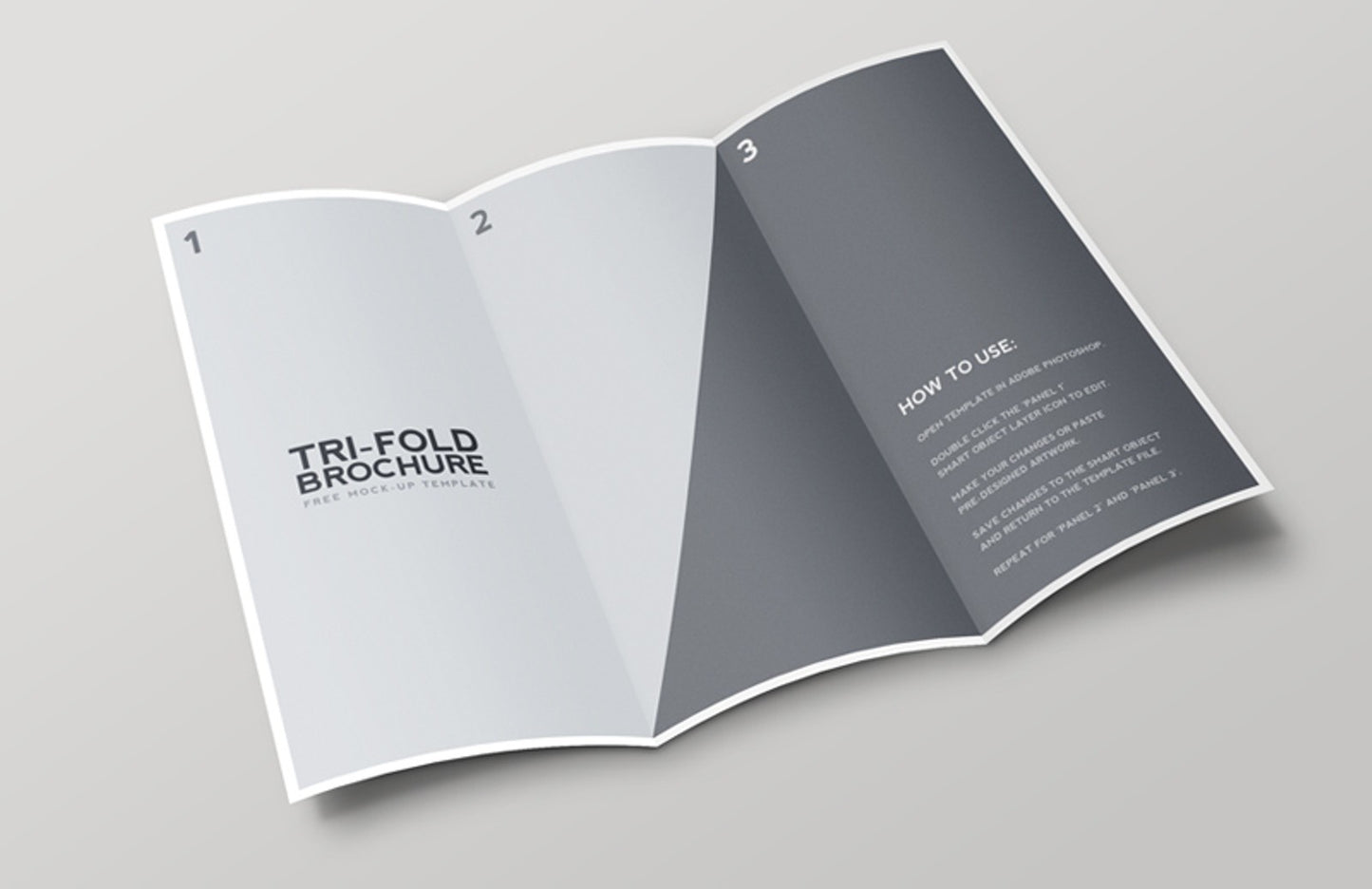 Free Tri Fold Brochure Mockup Template
