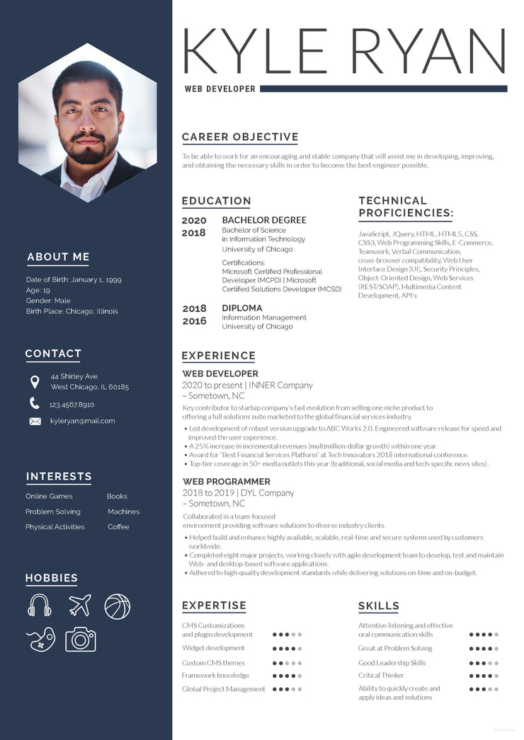 Free Web Developer Resume CV Template in Photoshop (PSD) Format