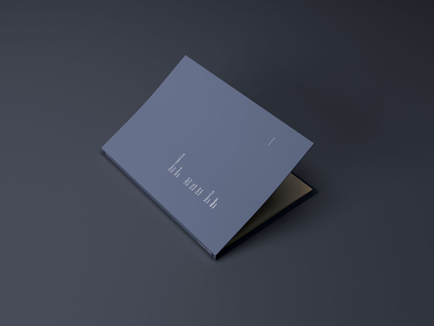 Free A4 Branding Folder Mockup