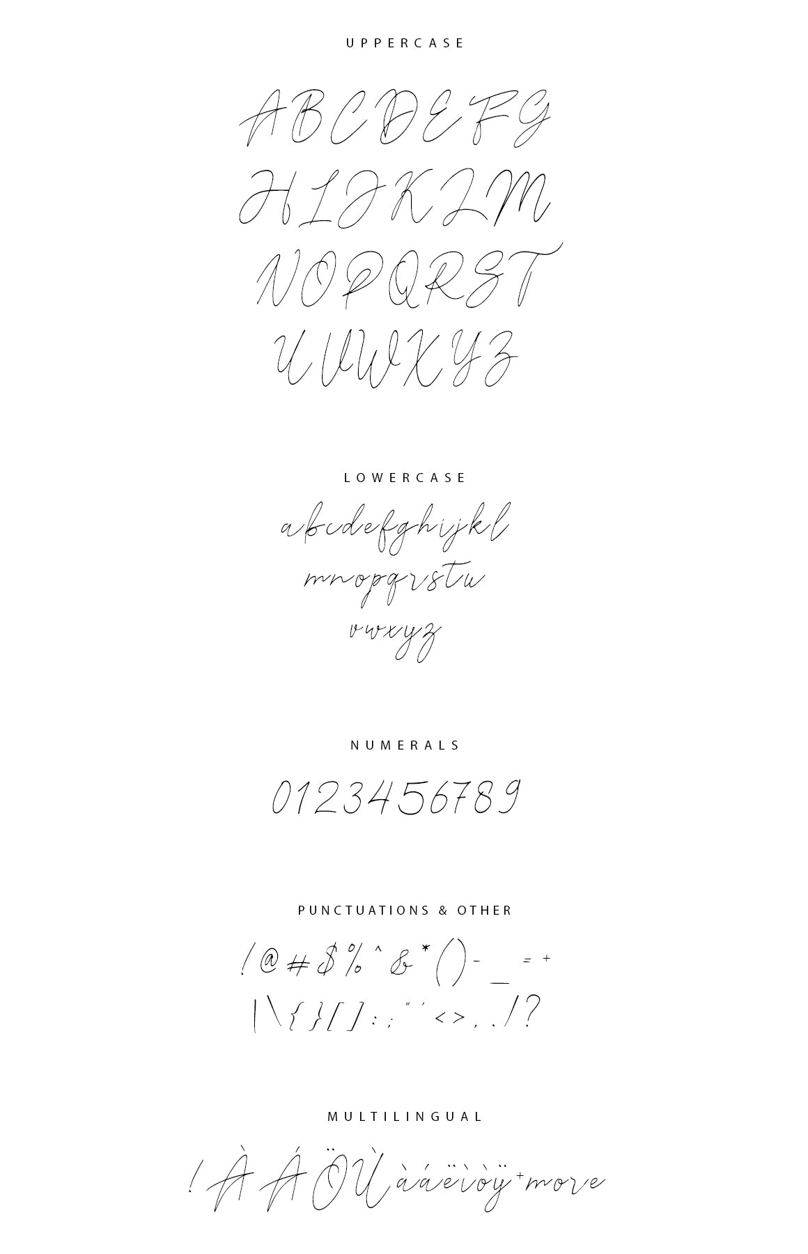 Free Reman Script Font