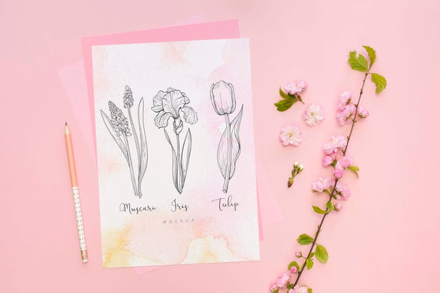 Free Beautiful Stationery Minimal Concept Psd