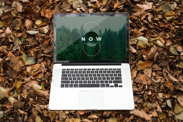 Free Blank Screen Concept Mock-Up Psd