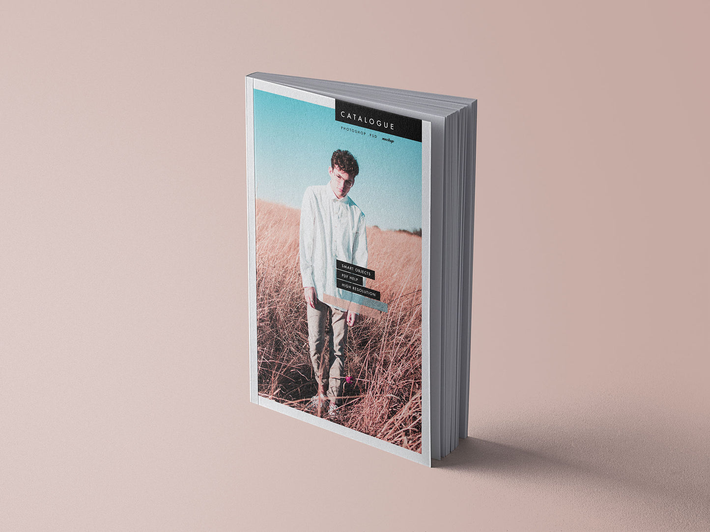 Free Catalogue Book Mockup