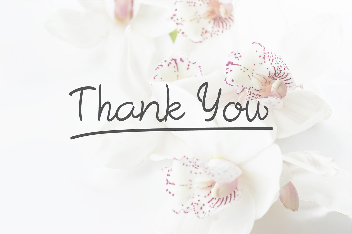 Free Font Rosella Font Duo