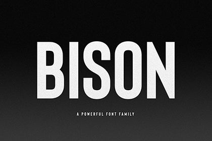 Free Bison Bold Demo Font
