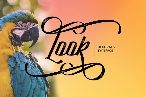 Free Look Decorative Script Demo