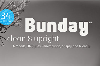 Free Bunday Clean Demo