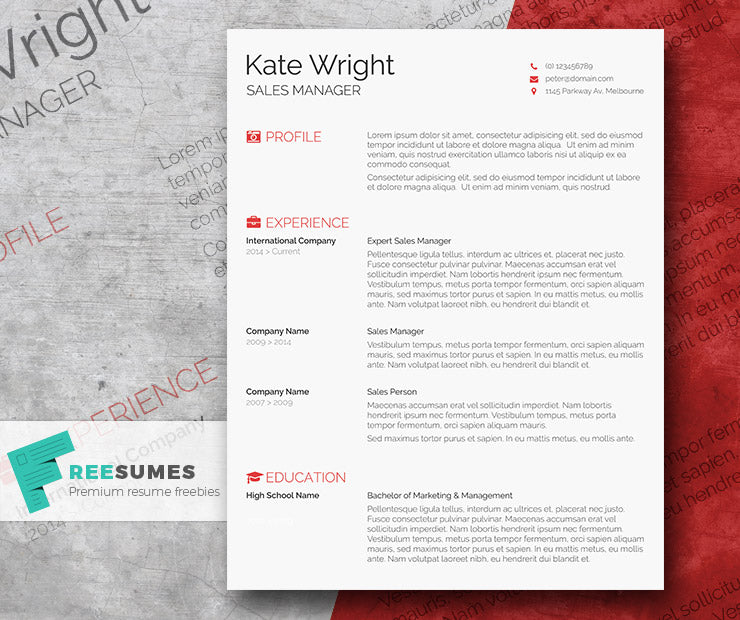 Free Modern Smart CV Resume Template in Minimal Style in Microsoft Word (DOC) Format