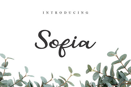 Free Sofia Script Font Demo