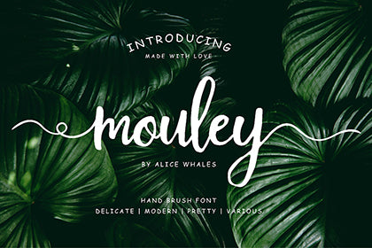 Free Mouley Script Demo