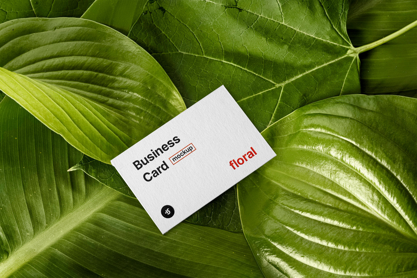 Free Floral Business Card Mockup