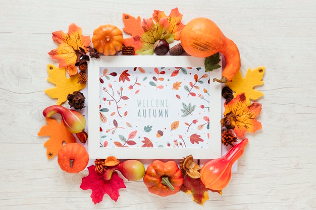 Free Framed Mock-Up Surrounded By Natural Decor Psd