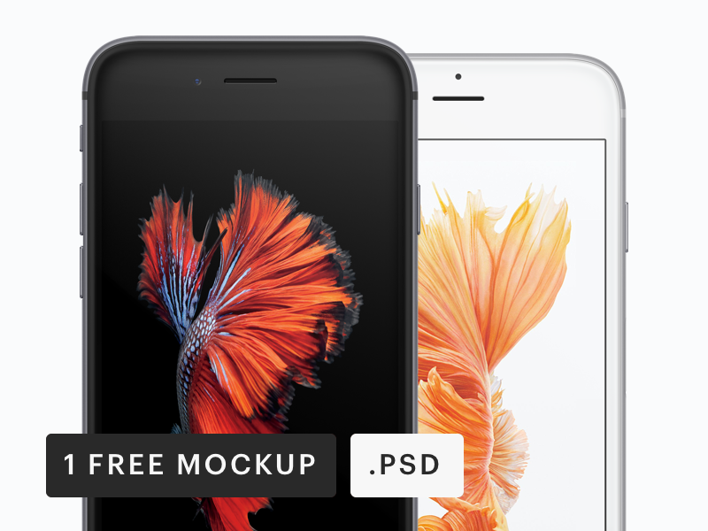 Free iPhone Closeup Frontal View Mockup