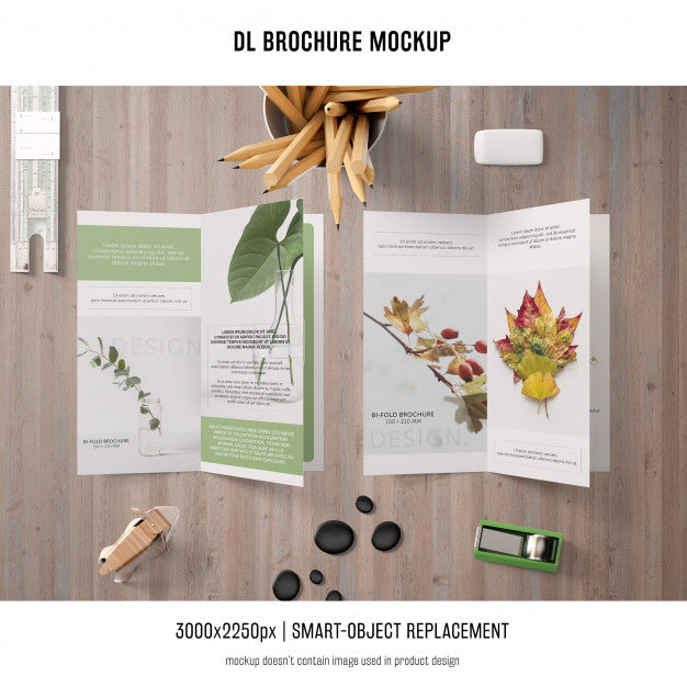 Free Portrait Dl Brochure Mockup Psd