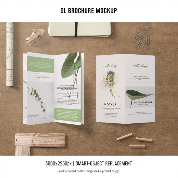 Free Portrait Dl Brochure Mockup Psd