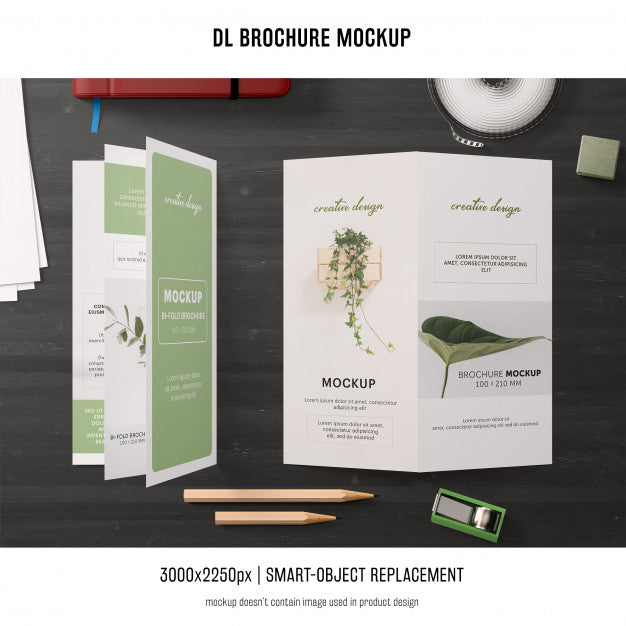 Free Portrait Dl Brochure Mockup Psd