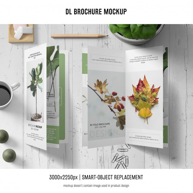 Free Portrait Dl Brochure Mockup Psd