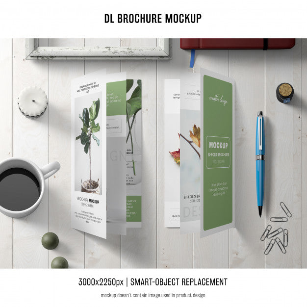 Free Portrait Dl Brochure Mockup Psd