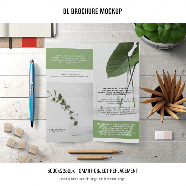 Free Portrait Dl Brochure Mockup Psd