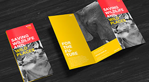 Free Premium Z-Fold Brochure Mockup Psd File