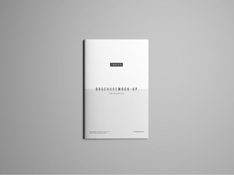 Free Tabloid Brochure Mockup