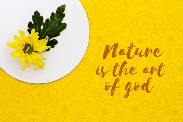 Free Top View Colorful Flower Concept Psd