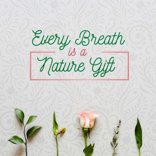 Free Top View Colorful Flowers Concept Psd