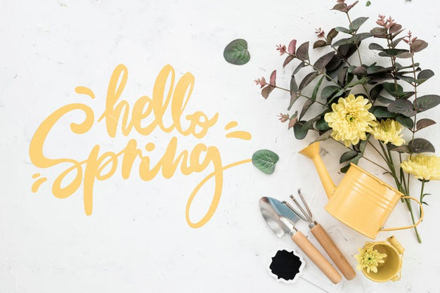 Free Top View Of Watering Can And Flowers For Spring Psd