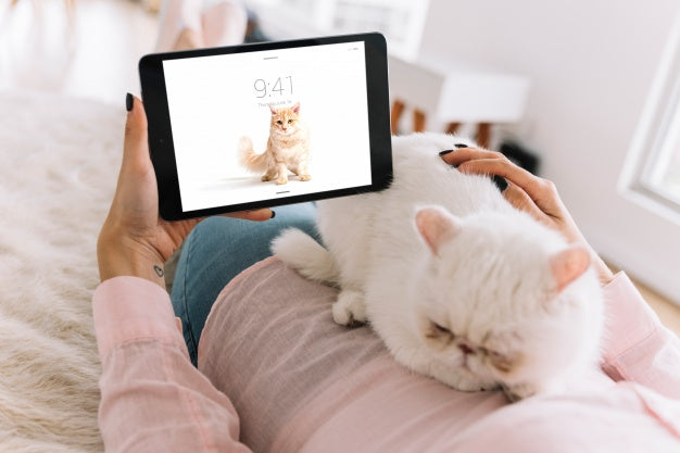 Free Woman On Couch With Cat And Tablet Mockup Psd