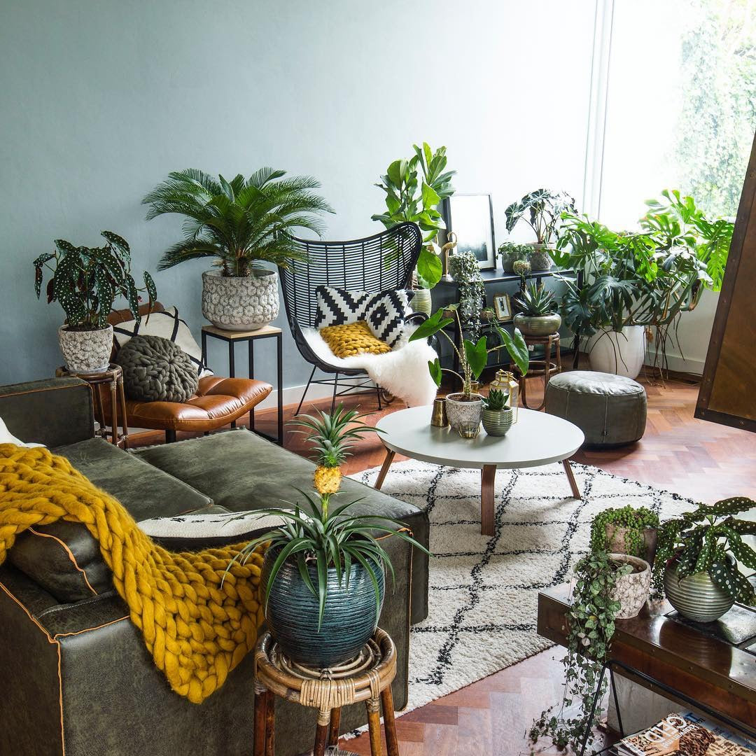 13 Jungle Living Room Ideas with Statement Greenery 2026