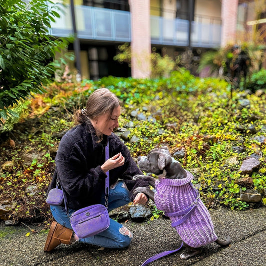 13 Matching Outfits with Dog Guide 2025