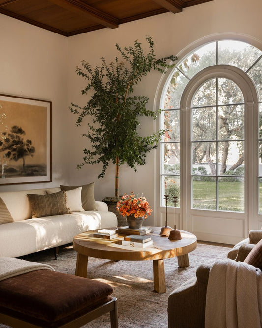 16 Tan Living Room Ideas Full of Warmth