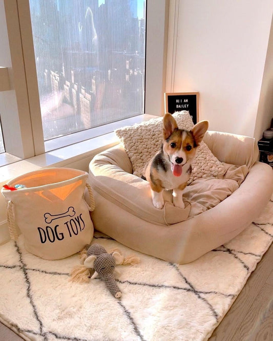 13 Country-Inspired Dog Bedroom Ideas for Cozy Vibes