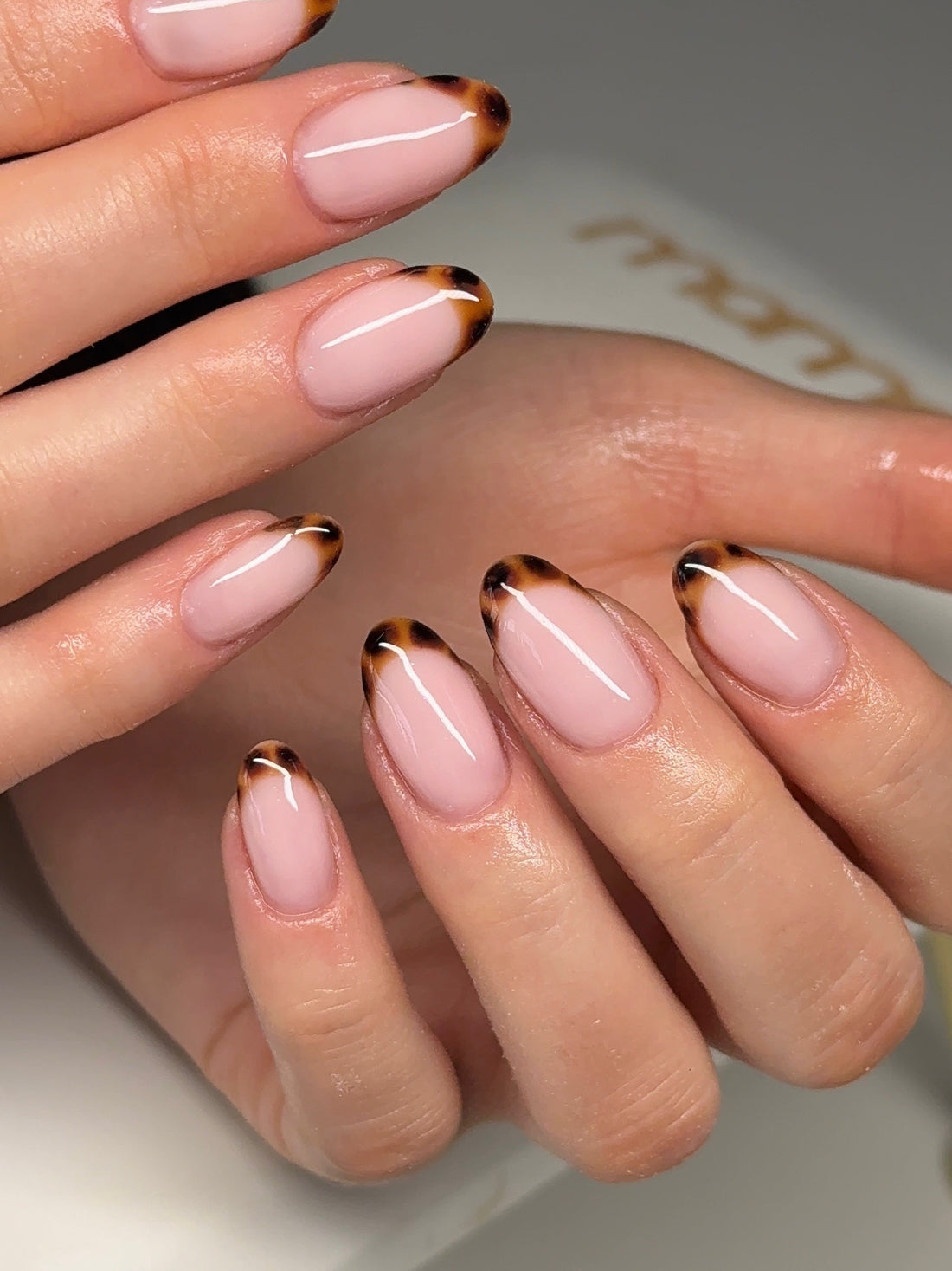15 Chic Fall French Nail Ideas