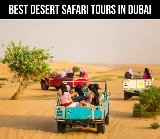 THE 10+ BEST Dubai Desert Safari Tours (2024)