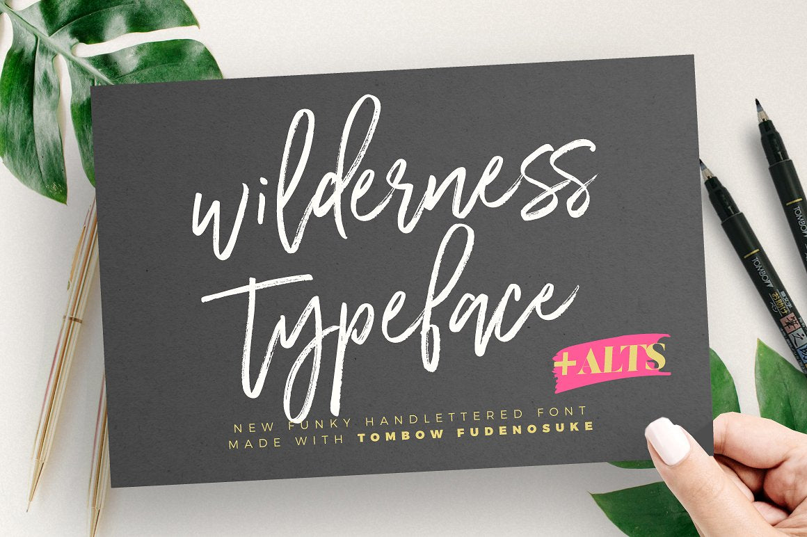 Wilderness Typeface - Free Font