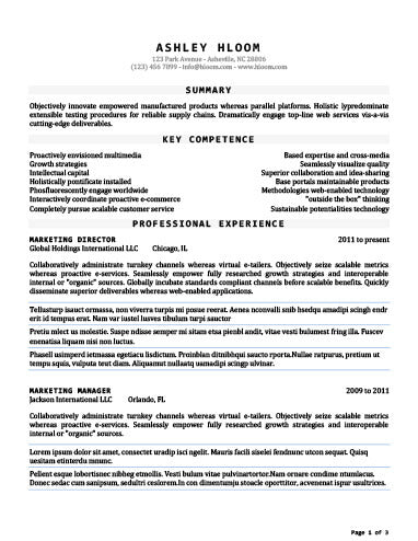 Free Seasoned Combination CV Resume Template in Microsoft Word (DOCX) Format