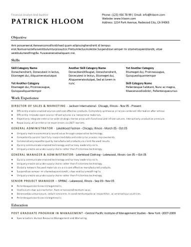 Free Economic Combination CV Resume Template in Microsoft Word (DOCX) Format