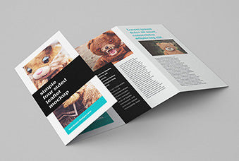 Free 4-Panel Leaflet Mockup