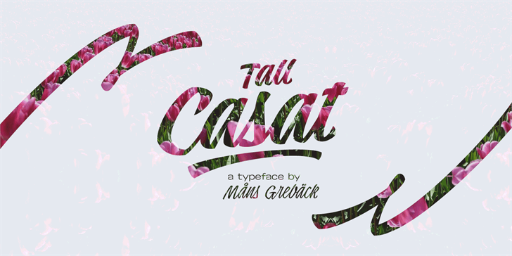 Free Tall Casat Med Font