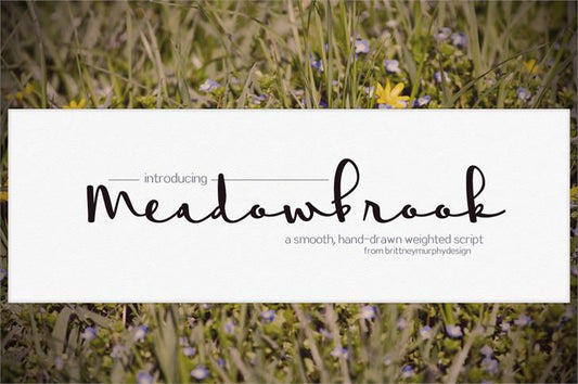 Free Meadowbrook Font