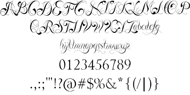 Free Ready Black Font